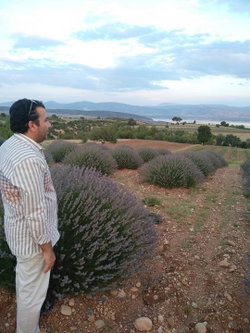 Ahmet