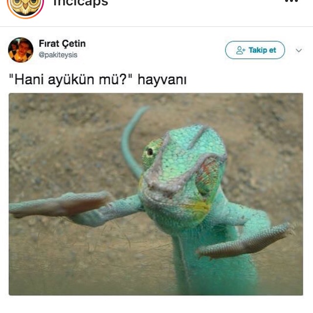 Ekrem