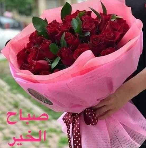 الشيخ