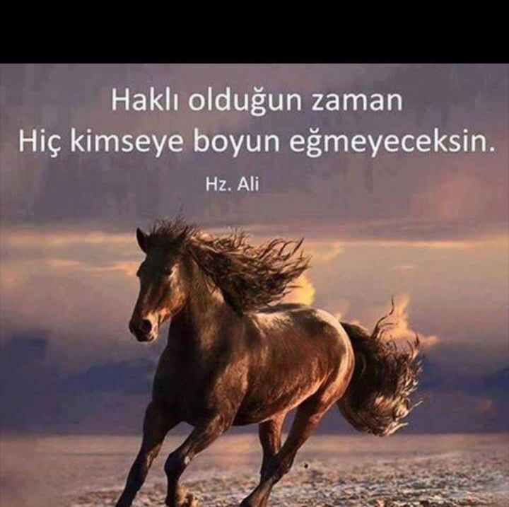 Merve