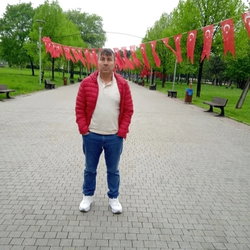 Insanlik