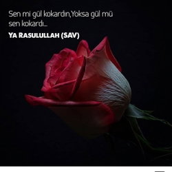 Sibel