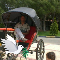 Umut