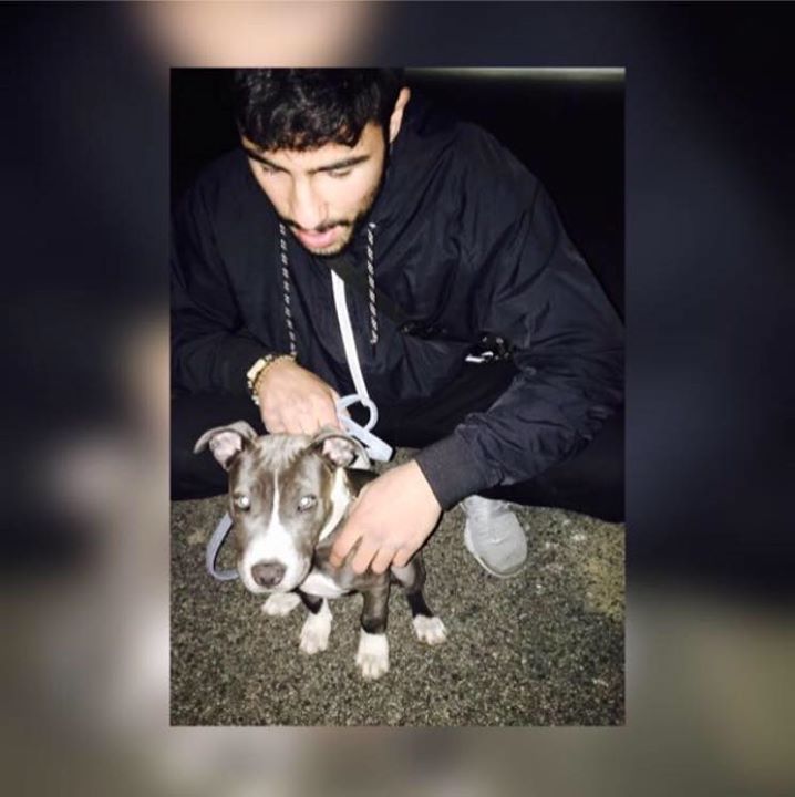 Ali