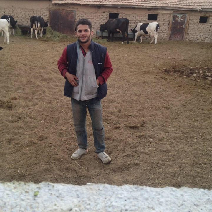 Salim