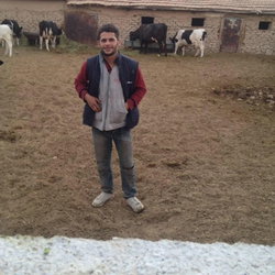Salim