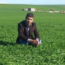 Ferhat