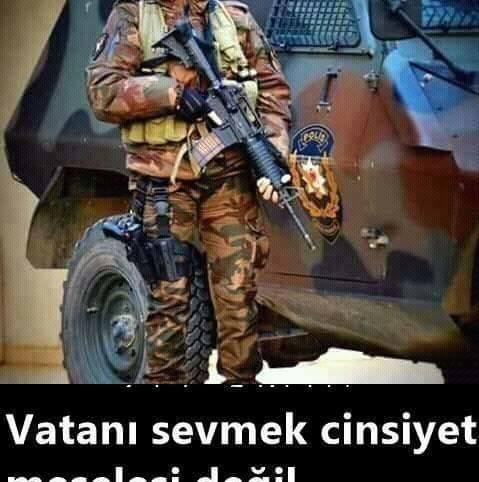 Alper