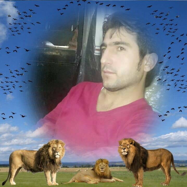 Ali