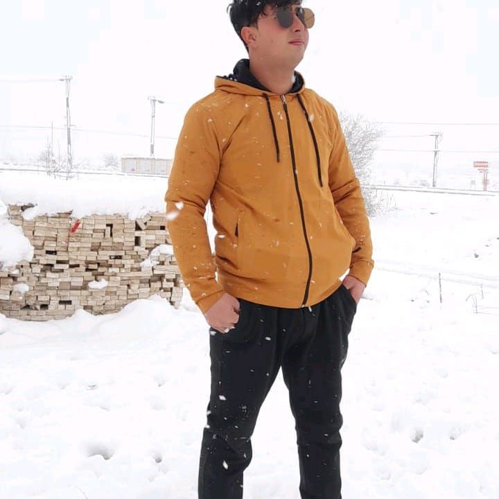 Asil