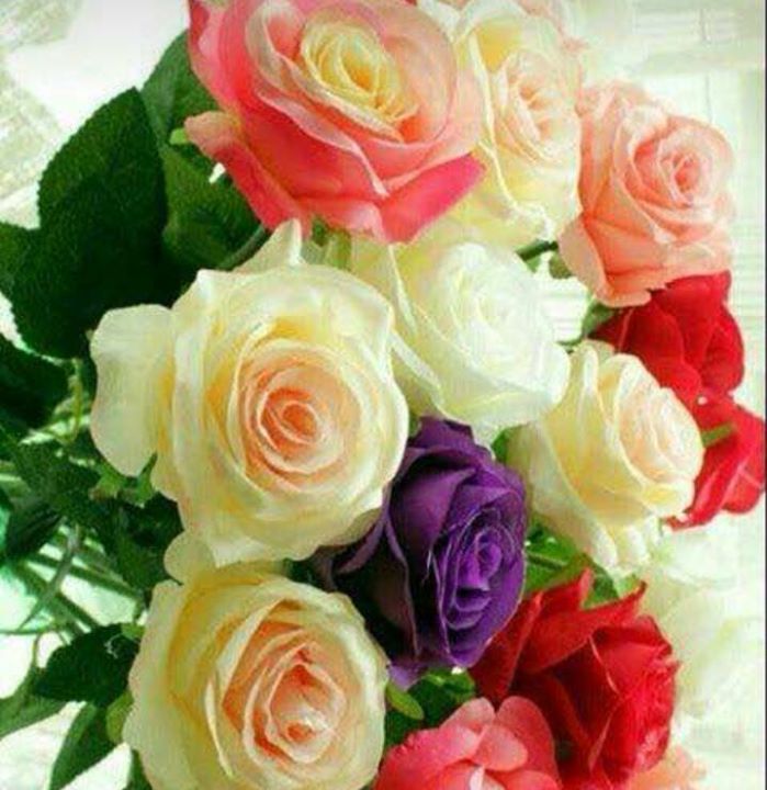 Suheda