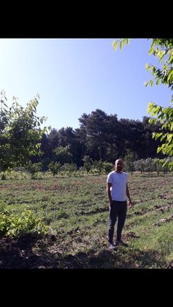 Soner