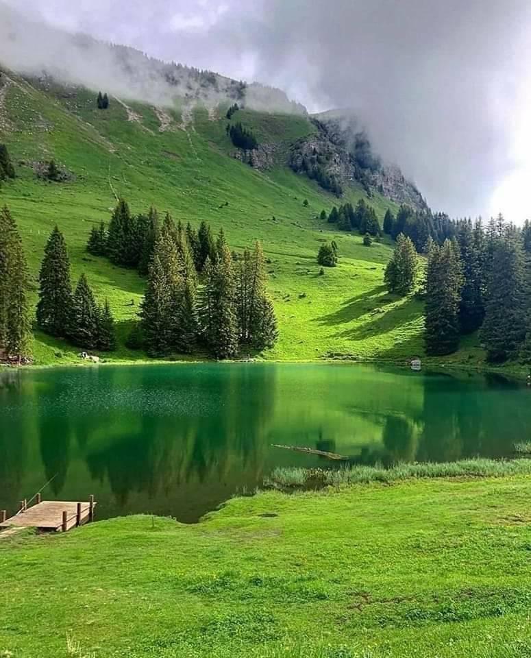 Uyar