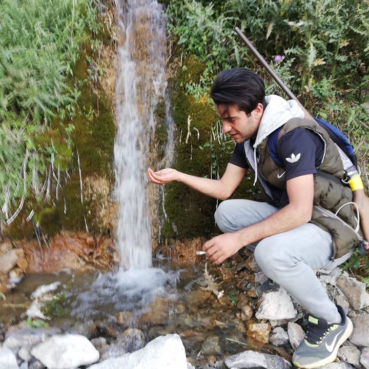 Ali