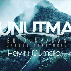 Vedat