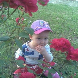 Elifgul