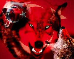 MelihCan