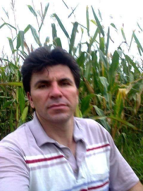 Tavukçuu