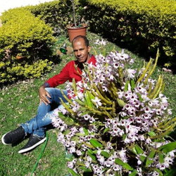 Joao