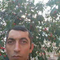 Abbas