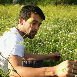 Doğan
