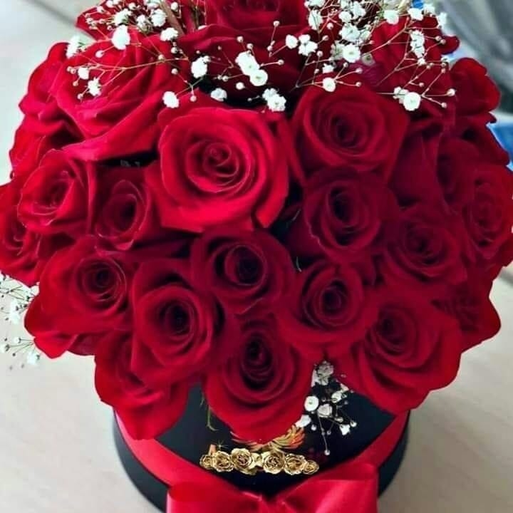 Murat