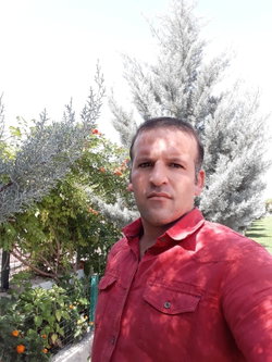 Mevlut