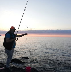 Osman