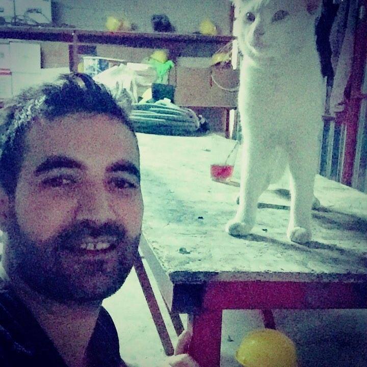 Barış