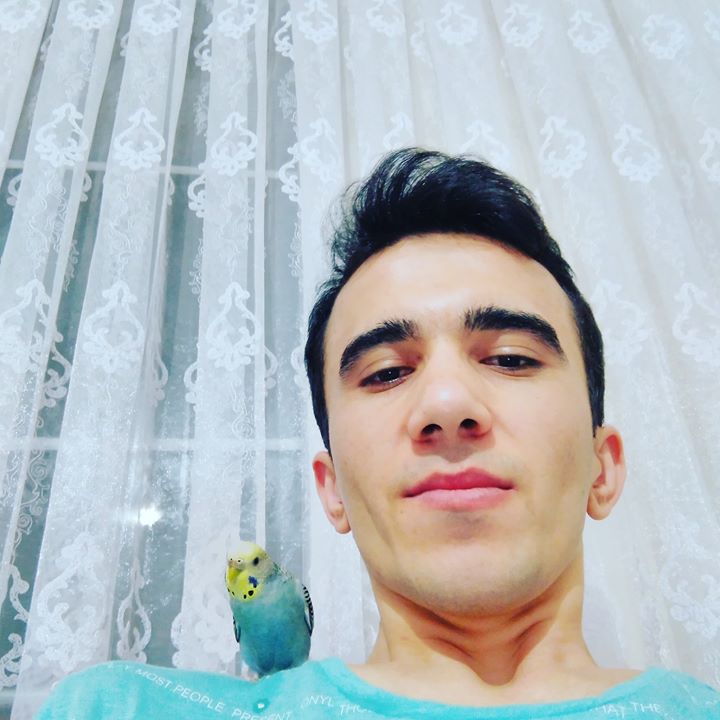 Sefa