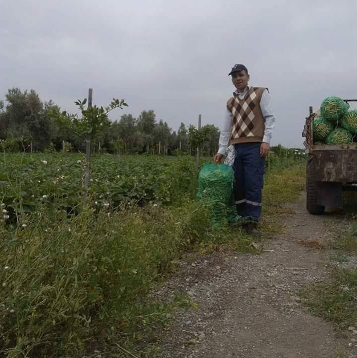 Ferhat