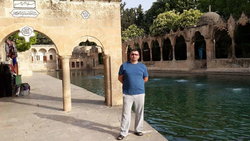 Şahin