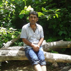 Ziya