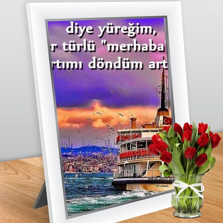 Tercan