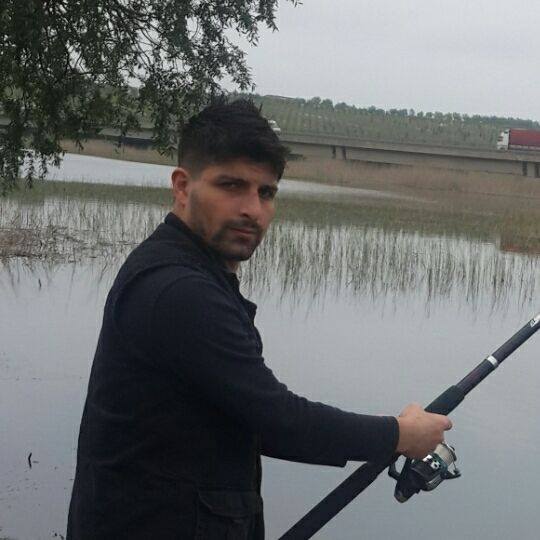 Şahin