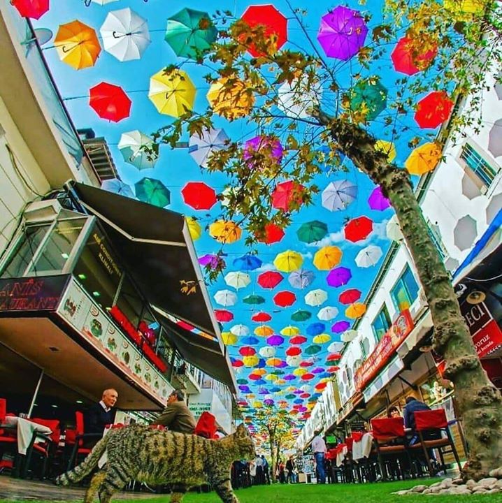Yağmur