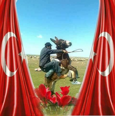 Arifdursun