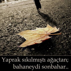 Sebahat