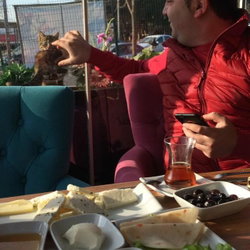 Erhan
