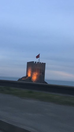 Bekir