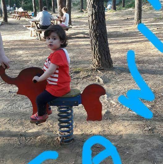 Aydın