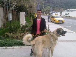 Tekin