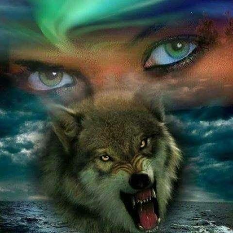 Diyar