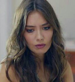 Duygu