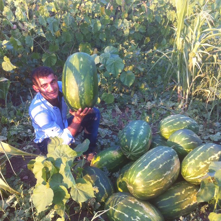 Ismail