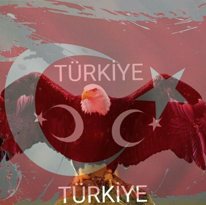 Tolga