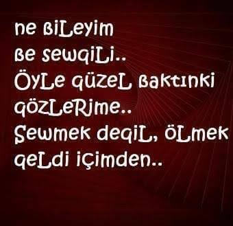 Önder