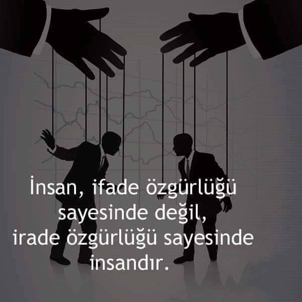 Sedat