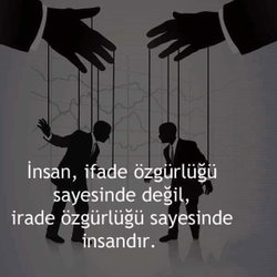 Sedat