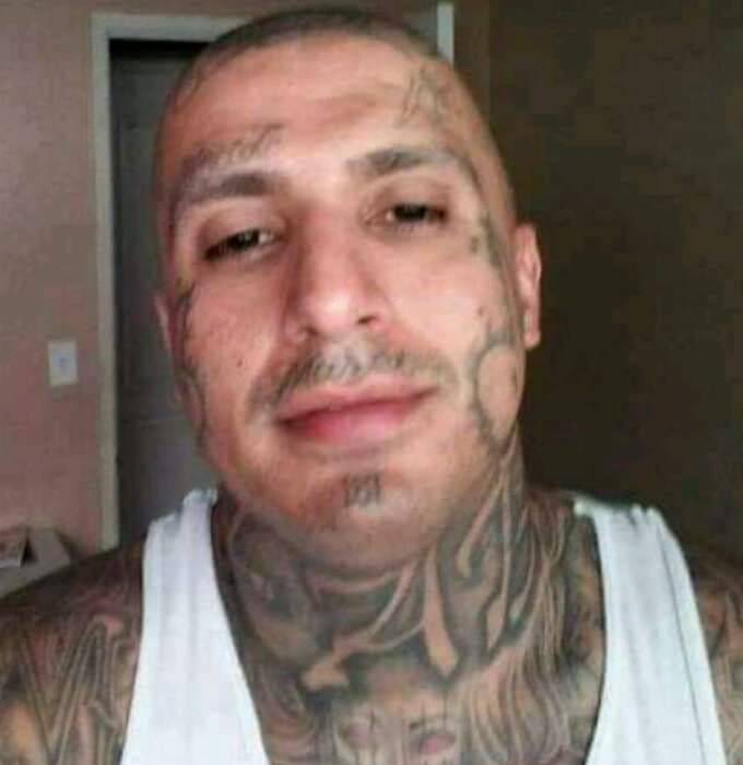 Lalo